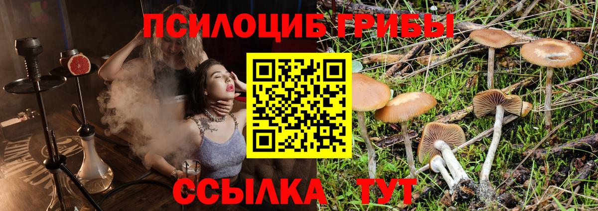 Галлюциногенные грибы Psilocybine cubensis  Псилоцибиновые грибы мицелий  Вход с VPN  Железногорск 